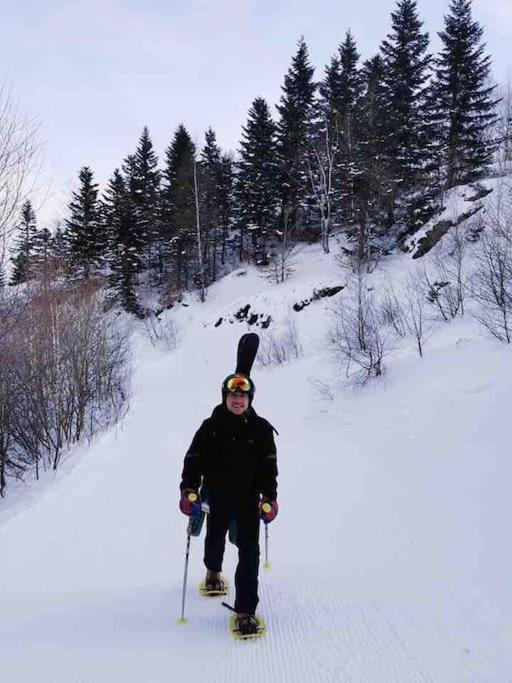 Maison 6 Places, En Plein Coeur De L'Ariege, Proche Ski Et Nature Lesparrou المظهر الخارجي الصورة