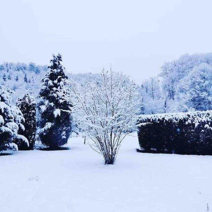 Maison 6 Places, En Plein Coeur De L'Ariege, Proche Ski Et Nature Lesparrou المظهر الخارجي الصورة