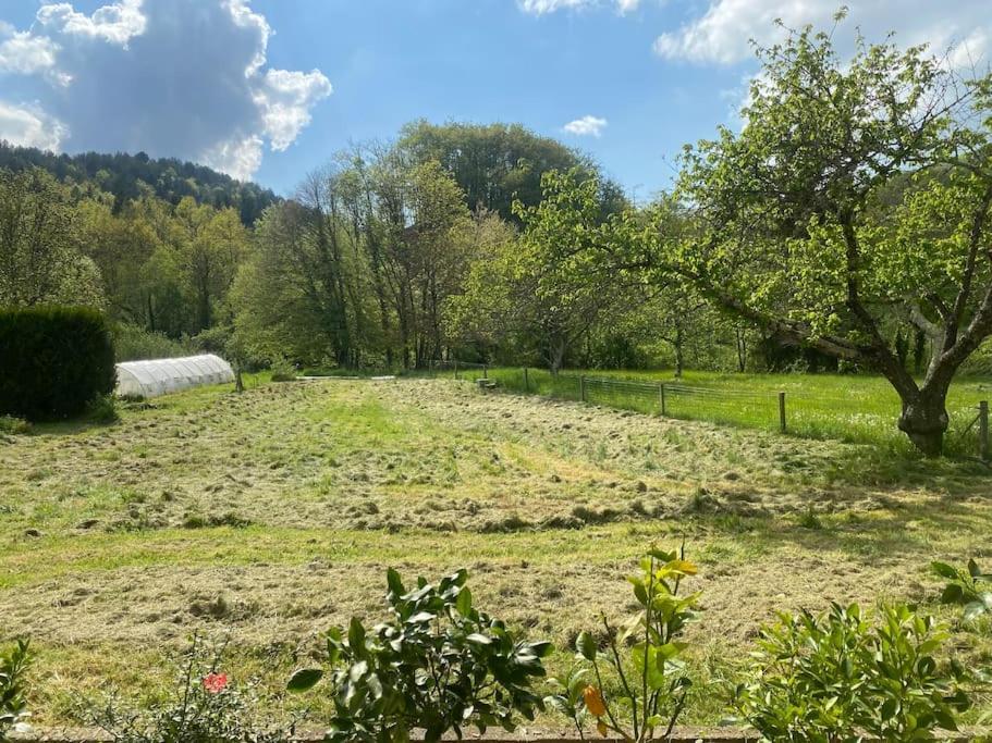 Maison 6 Places, En Plein Coeur De L'Ariege, Proche Ski Et Nature Lesparrou المظهر الخارجي الصورة